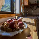 בית נופש Casa Abuela - Pool House In The Countryside